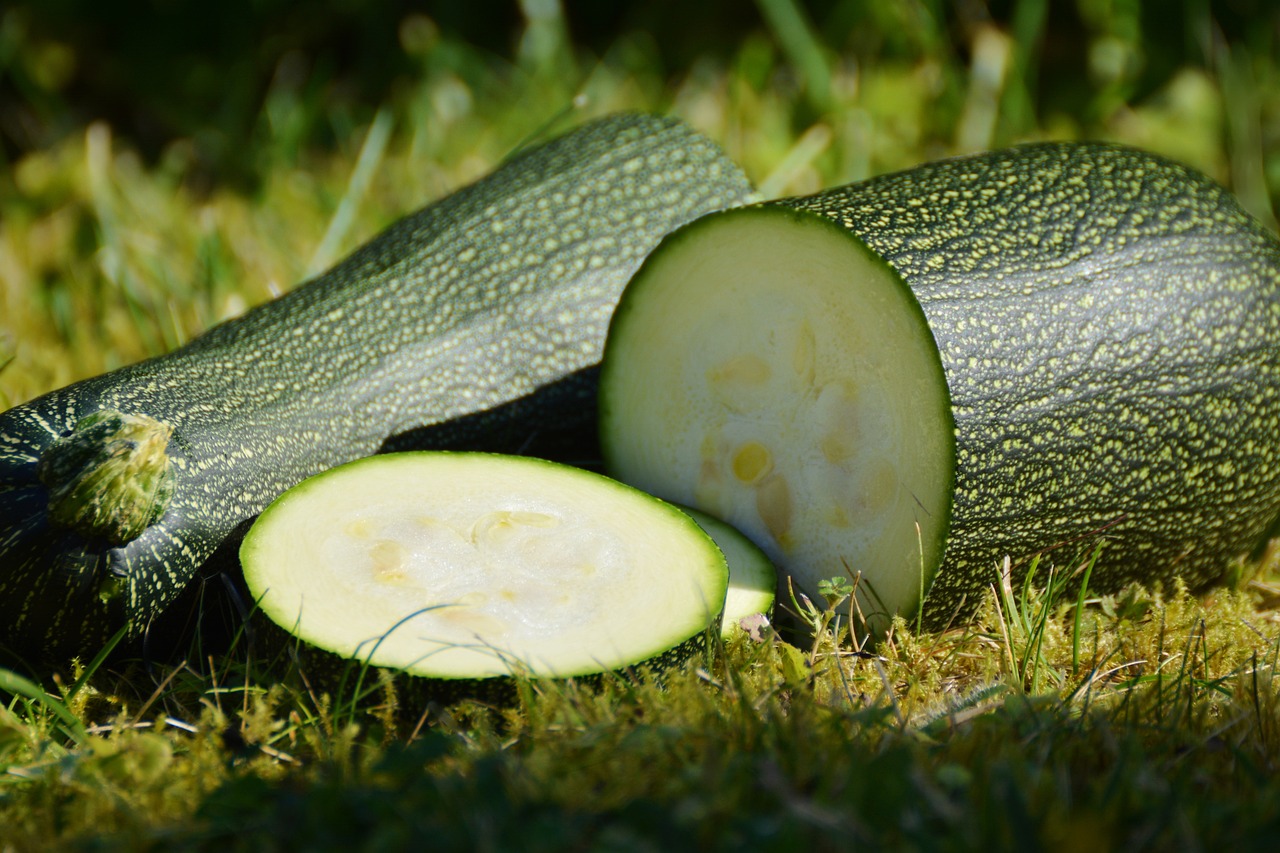 faire ses graines de courgettes